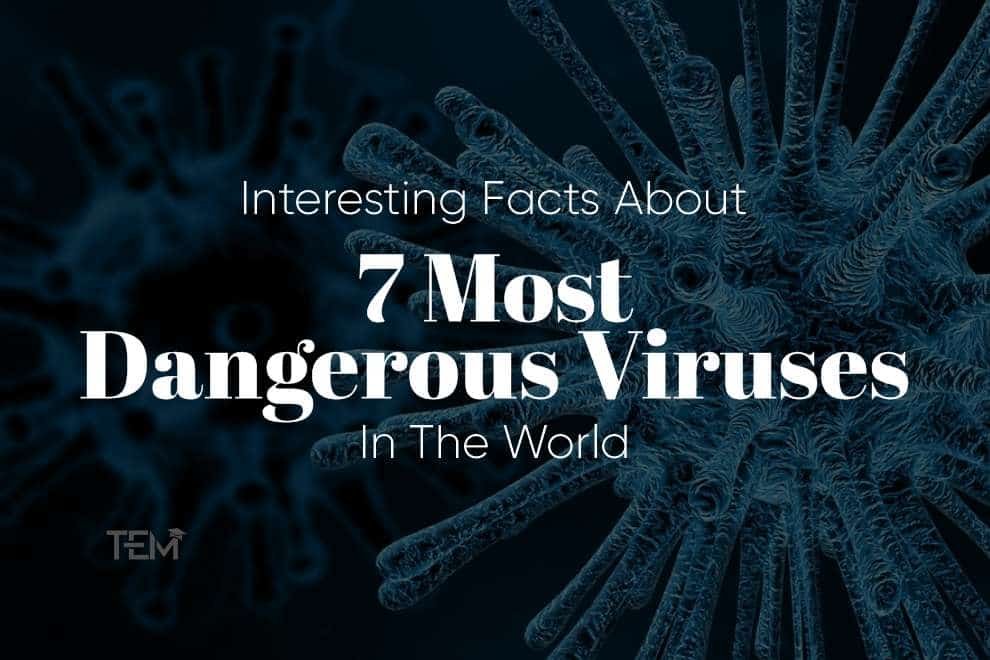 Interesting Facts About 7 Most Dangerous Viruses In The World