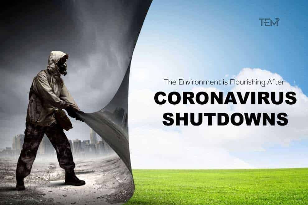 coronavirus shutdowns