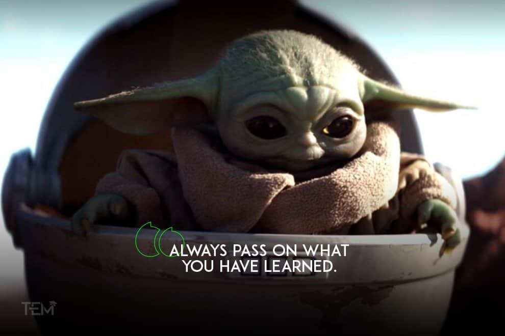 It Took Yoda a Few Words to Teach 1 of the Greatest Leadership