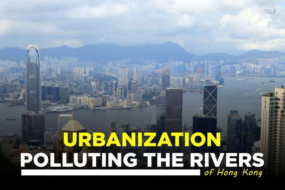 Urbanization polluting the rivers