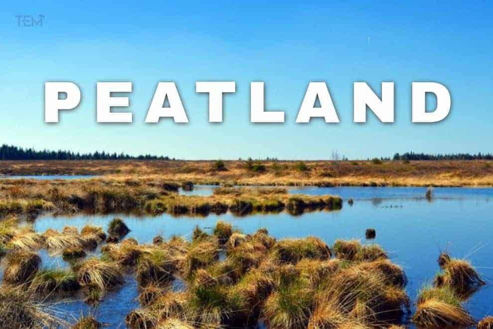 Peatland