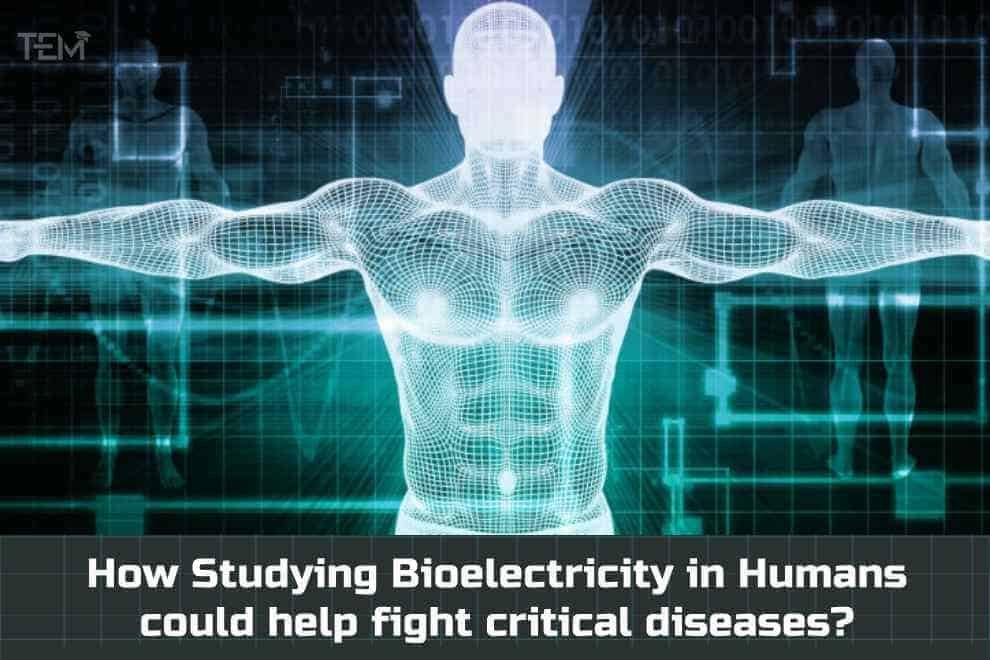 Bioelectricity in Humans