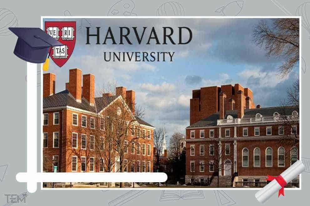 Harvard University Environment Fellows Program