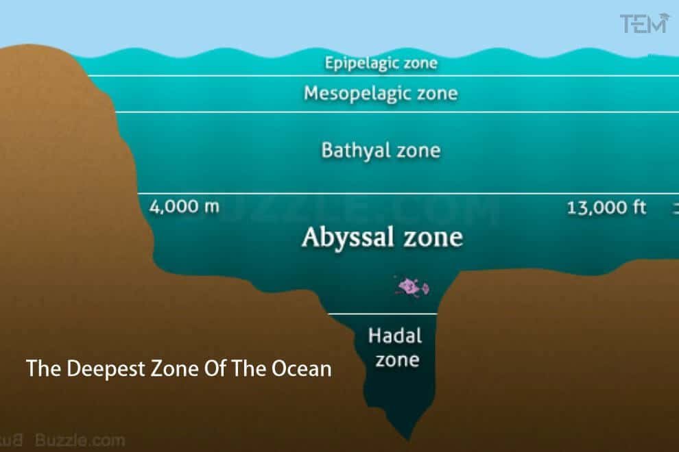 Deepest Zone Of The Ocean