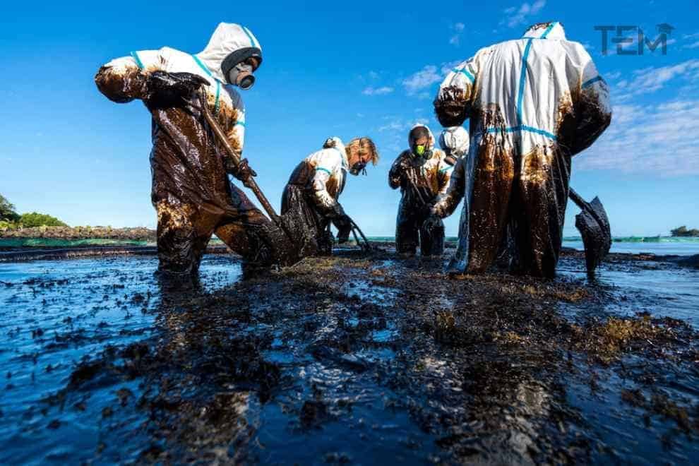 Oil spills kill marine