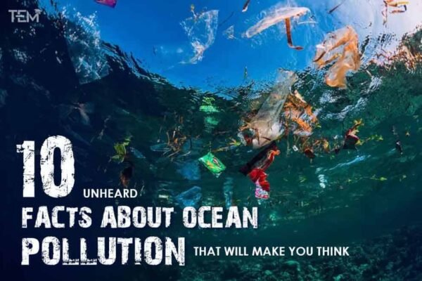 10 Unheard Facts about Ocean Pollution that will make you think