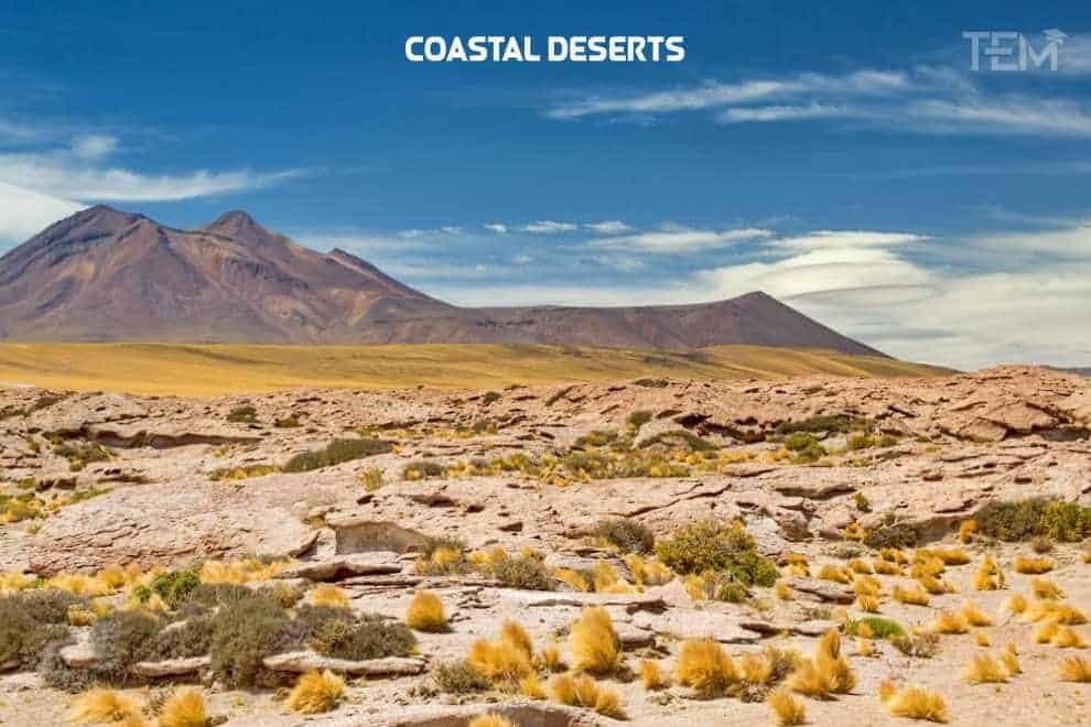 Coastal-Deserts