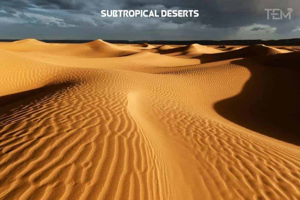 Subtropical-Deserts