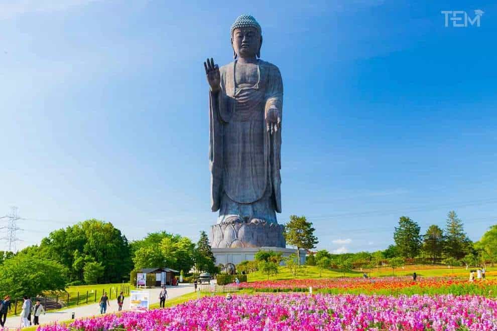 largest-statues-in-the-world-Ushiku-Daibutsu