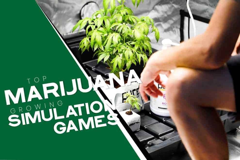 marijuana-growing-simulation-games