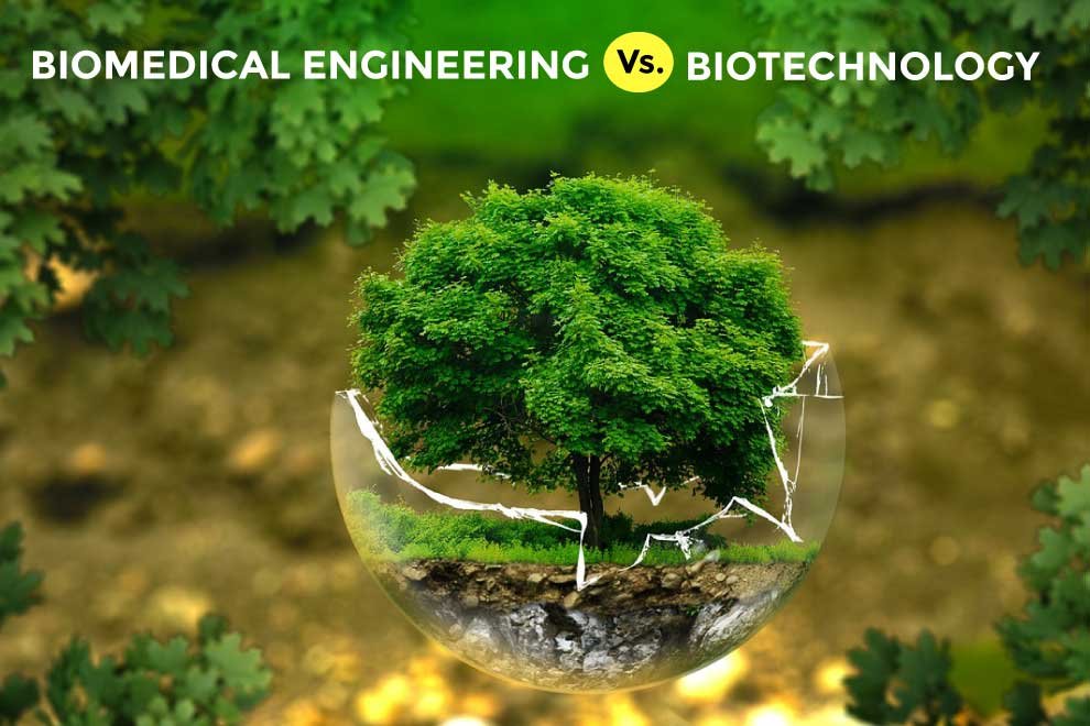 Biomedical Engineering Vs Biotechnology