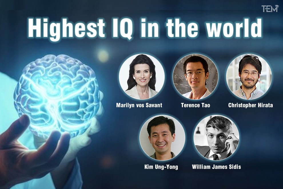 Highest IQ in the World