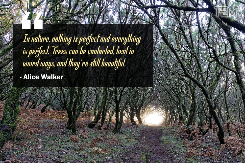 Nature-Quotes-Alice-Walker
