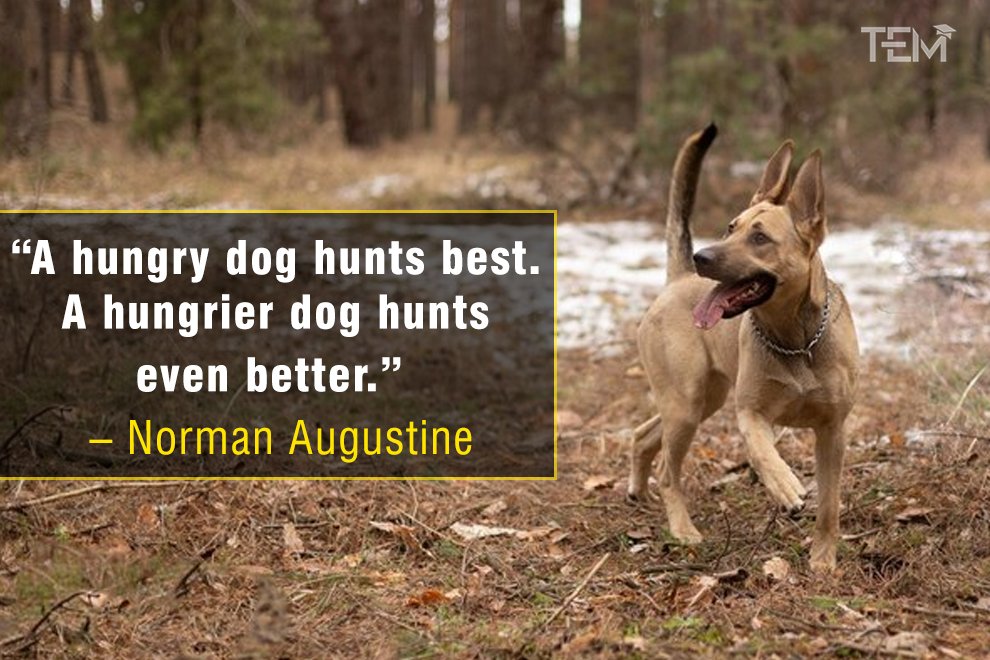 A hungry dog hunts best. A hungrier dog hunts even better