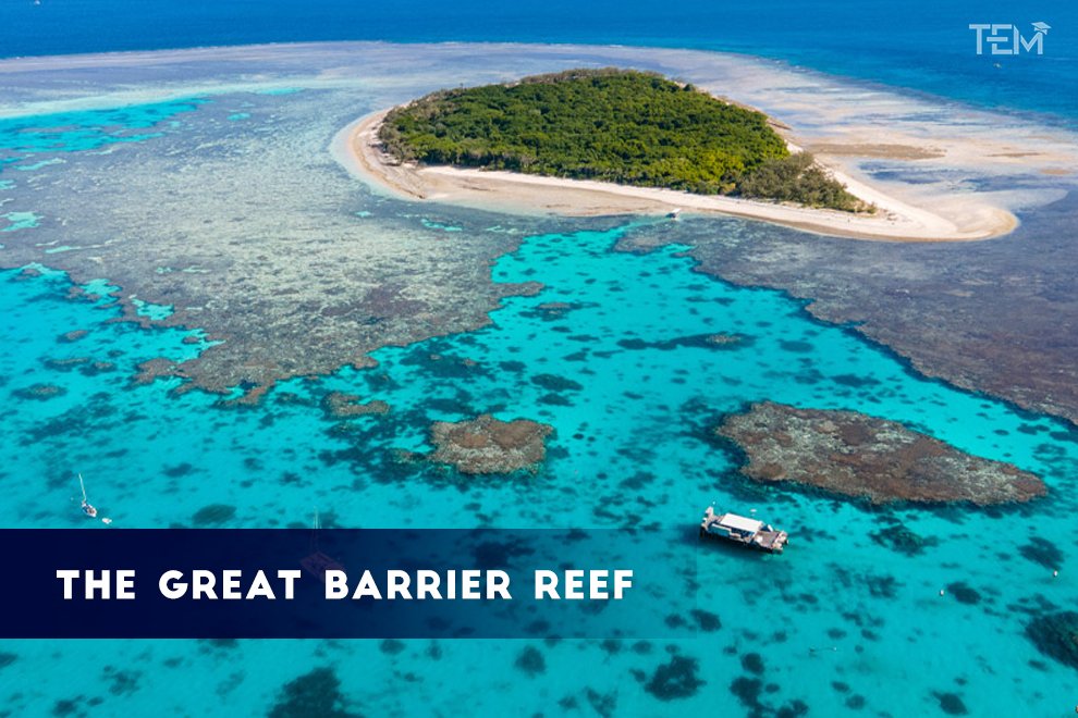 The Great Barrier Reef