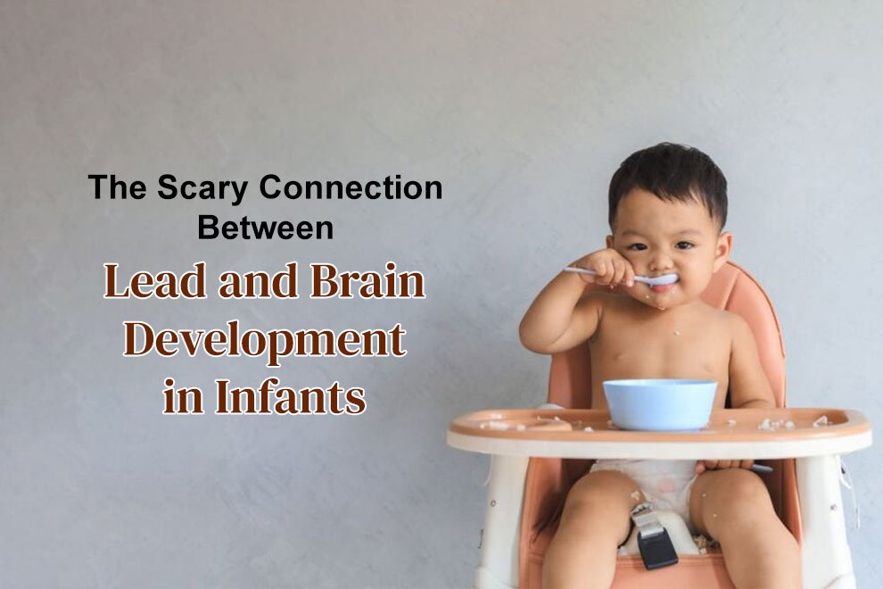 Lead and Brain Development in Infants