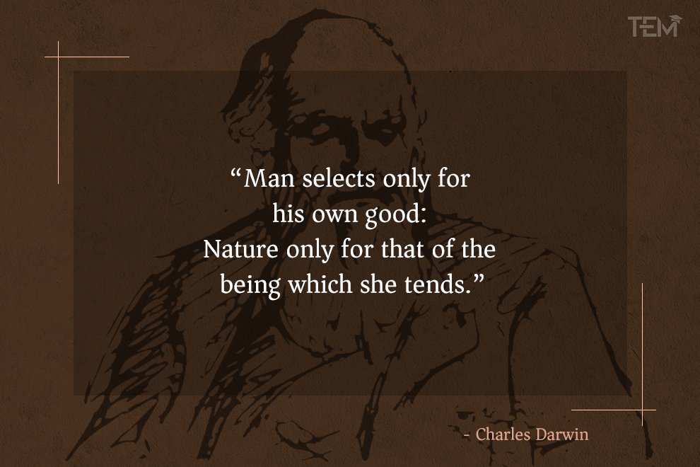 Charles Darwin Quotes