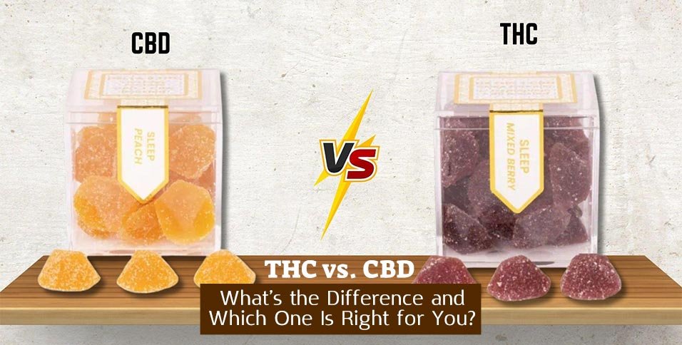 THC vs CBD